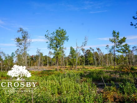 Dunwoody Drive Farm