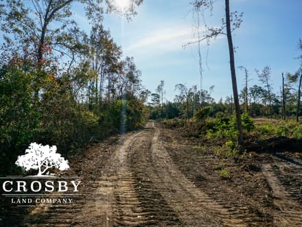 Dunwoody Drive Farm