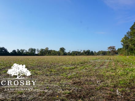 Dunwoody Drive Farm