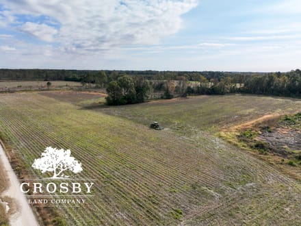 Dunwoody Drive Farm