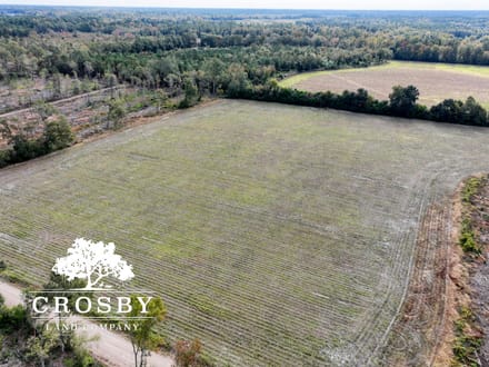 Dunwoody Drive Farm