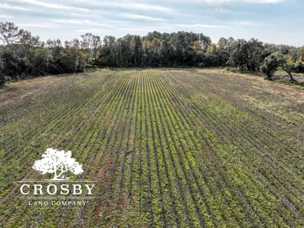 Dunwoody Drive Farm
