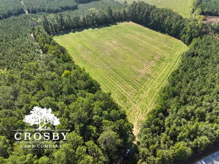 Dunbar Pasture Farm