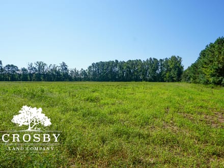 Dunbar Pasture Farm