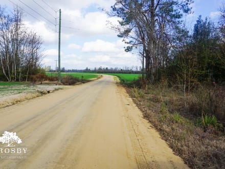Hattie Lane