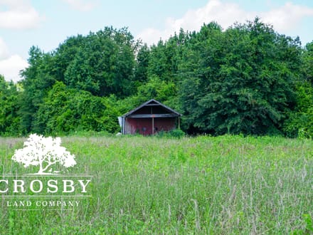 Bear Creek Farm