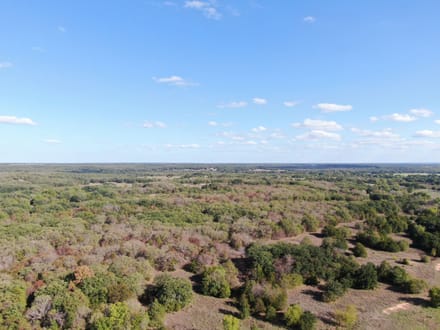 280 Acres, Love County, OK