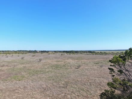 273 Acres in Love County, OK