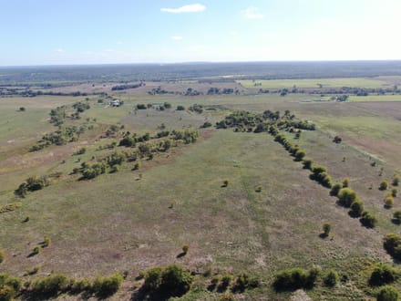 273 Acres in Love County, OK