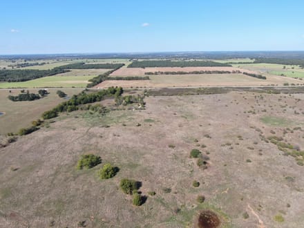 273 Acres in Love County, OK