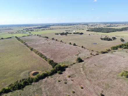 273 Acres in Love County, OK