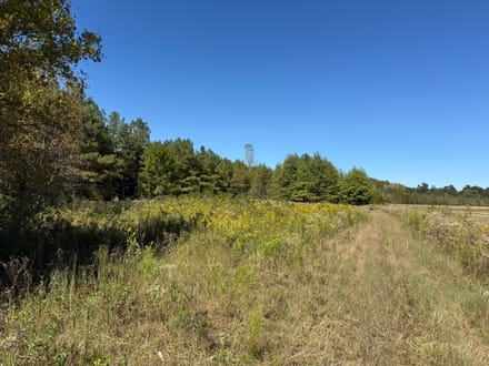 Lawrence County 117