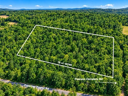 18 Surveyed Acres in Carriere, MS –  $115,000!