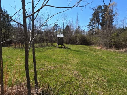 66 Acres of Big Bucks!