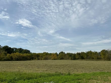 Jay County Land Auction 