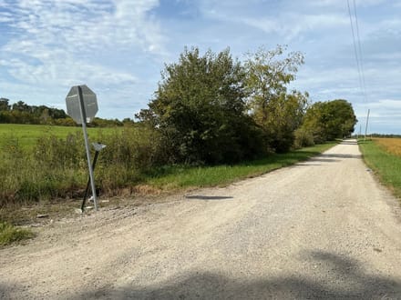 Jay County Land Auction 