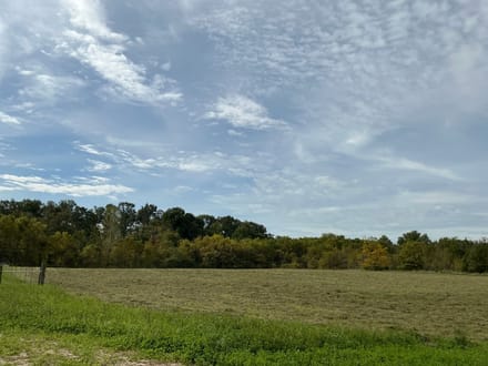 Jay County Land Auction 