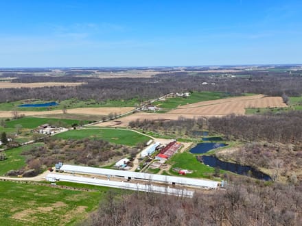 Cattle Farm Operation  in Jay County IN
