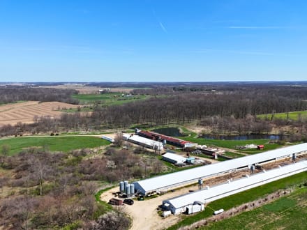 Cattle Farm Operation  in Jay County IN