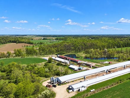 Cattle Farm Operation  in Jay County IN