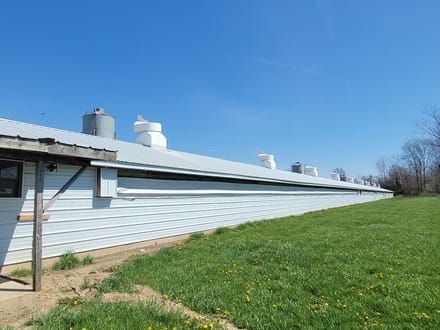 Cattle Farm Operation  in Jay County IN