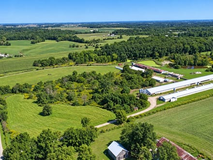 Cattle Farm Operation  in Jay County IN