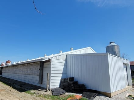 Cattle Farm Operation  in Jay County IN