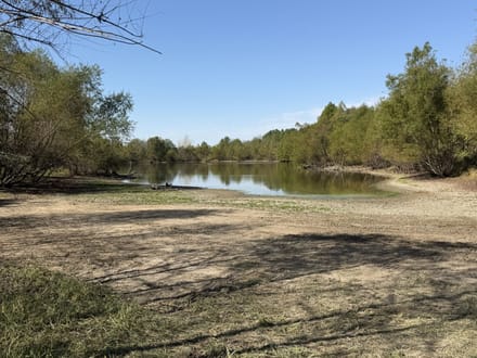 20 Acres W/ Cabin & Lakes in Sullivan IN 