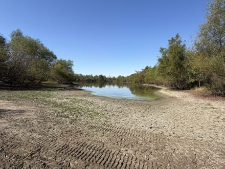 20 Acres W/ Cabin & Lakes in Sullivan IN 