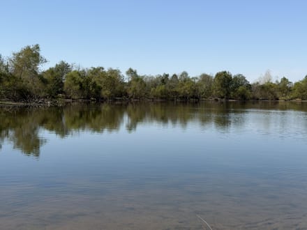 20 Acres W/ Cabin & Lakes in Sullivan IN 