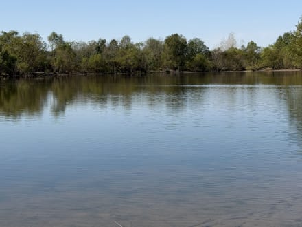 20 Acres W/ Cabin & Lakes in Sullivan IN 