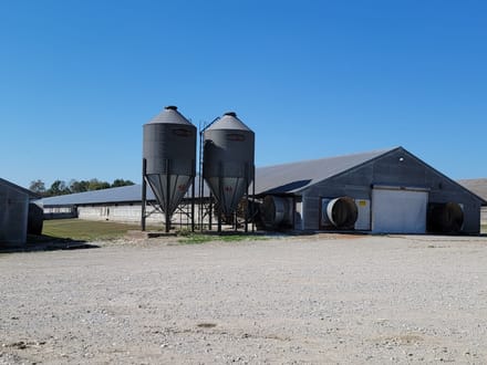 Huge Turkey Farm Operation in Lawrence County IN 