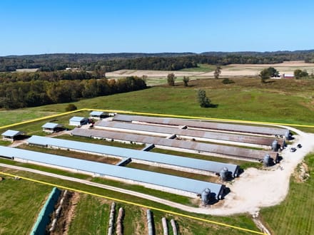Huge Turkey Farm Operation in Lawrence County IN 