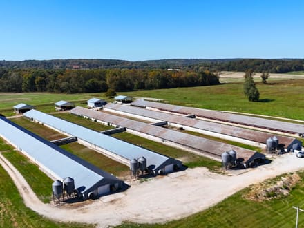 Huge Turkey Farm Operation in Lawrence County IN 