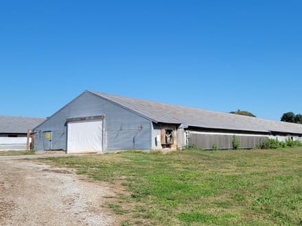 Huge Turkey Farm Operation in Lawrence County IN 