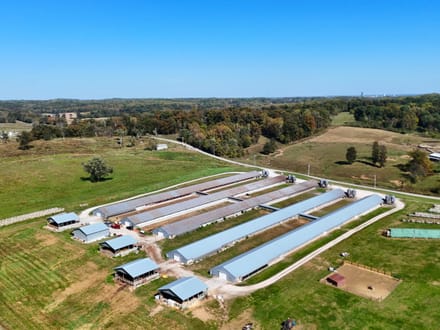 Huge Turkey Farm Operation in Lawrence County IN 