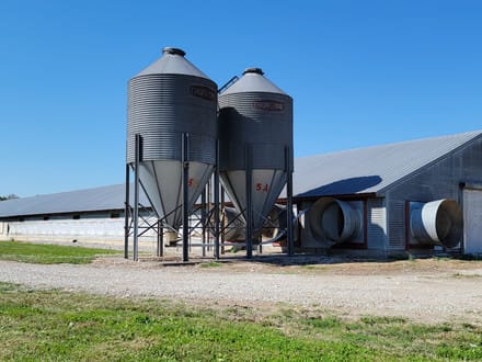 Huge Turkey Farm Operation in Lawrence County IN 