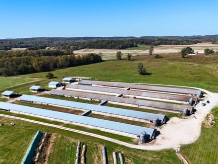 Huge Turkey Farm Operation in Lawrence County IN 