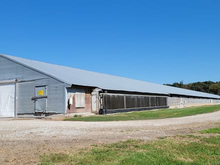 Huge Turkey Farm Operation in Lawrence County IN 