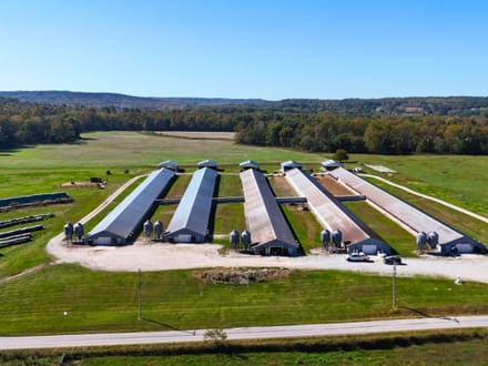 Huge Turkey Farm Operation in Lawrence County IN 