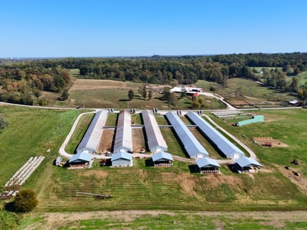Huge Turkey Farm Operation in Lawrence County IN 