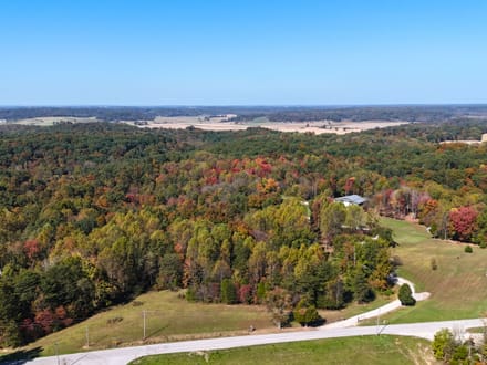 24.29 Acres W/ Barndo in Martin County IN