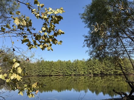 Brand-New Cabin w/ Lake Views in Sullivan IN 