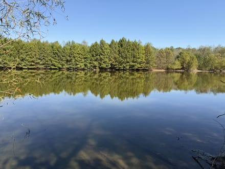 Brand-New Cabin w/ Lake Views in Sullivan IN 