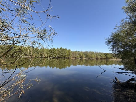 Brand-New Cabin w/ Lake Views in Sullivan IN 