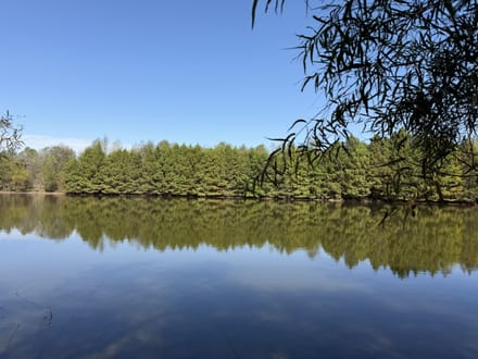 Brand-New Cabin w/ Lake Views in Sullivan IN 