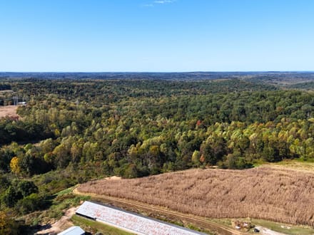33.35 Acres in Martin County IN