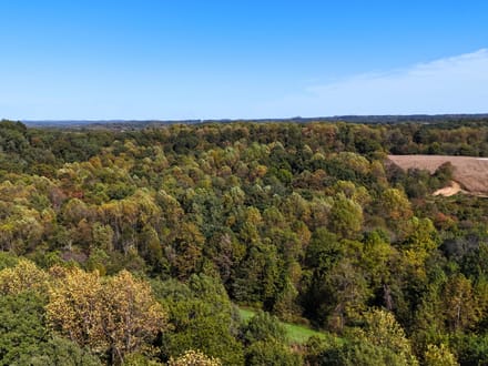 33.35 Acres in Martin County IN