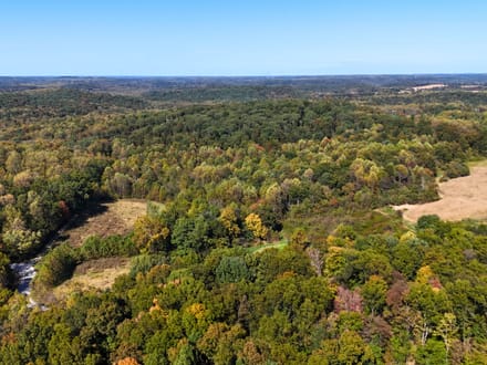 33.35 Acres in Martin County IN