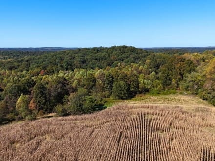 33.35 Acres in Martin County IN